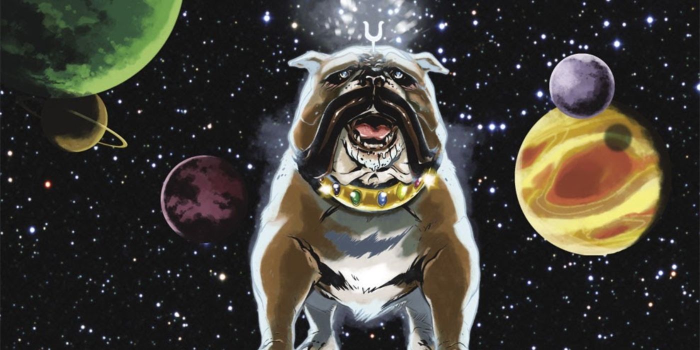 Infinity gauntlet shop dog collar