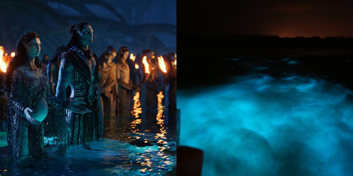 Avatar: 8 Real Locations That Inspired The Movies
