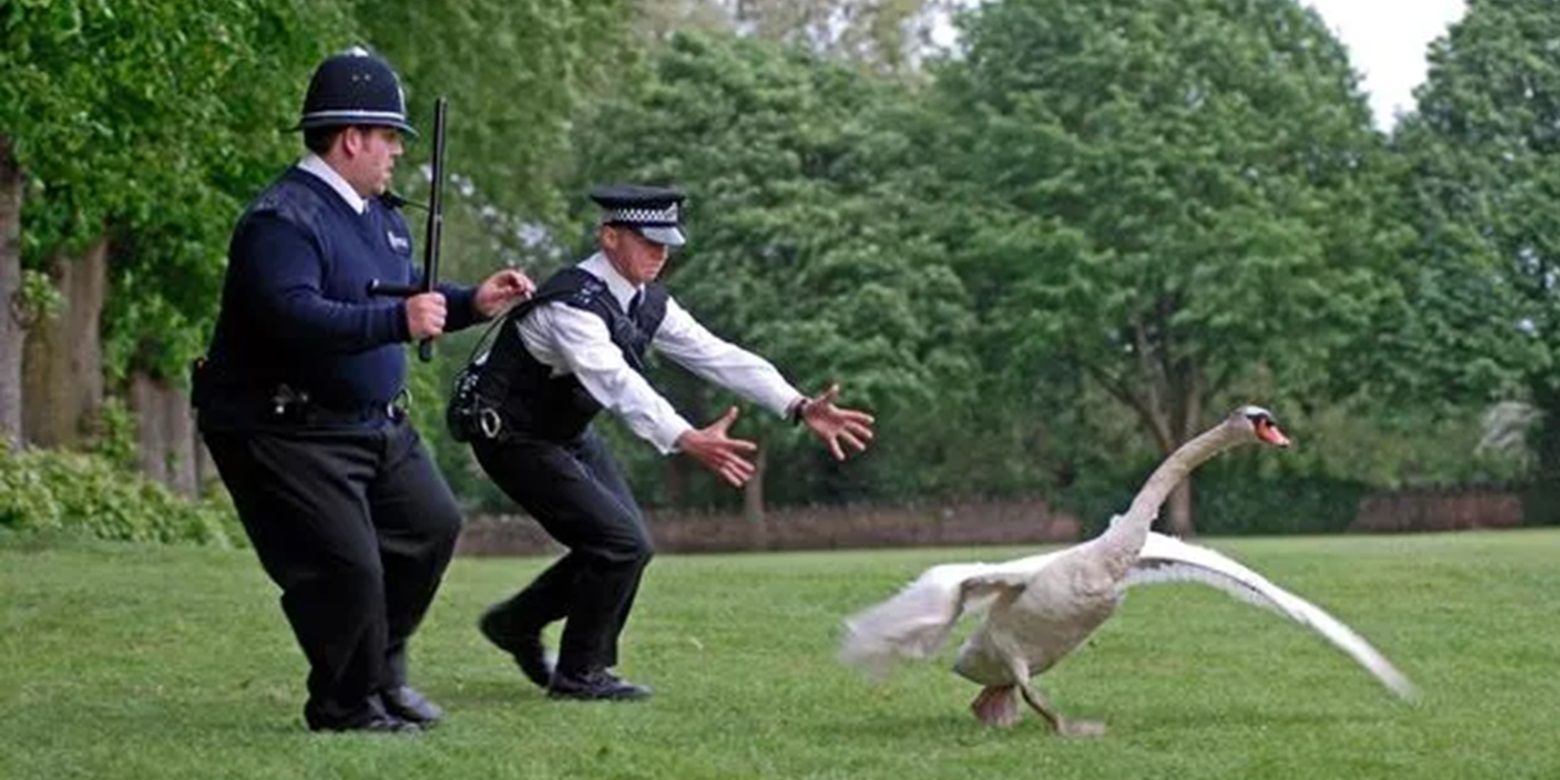 Nicholas and Danny chase a swan in Hot Fuzz
