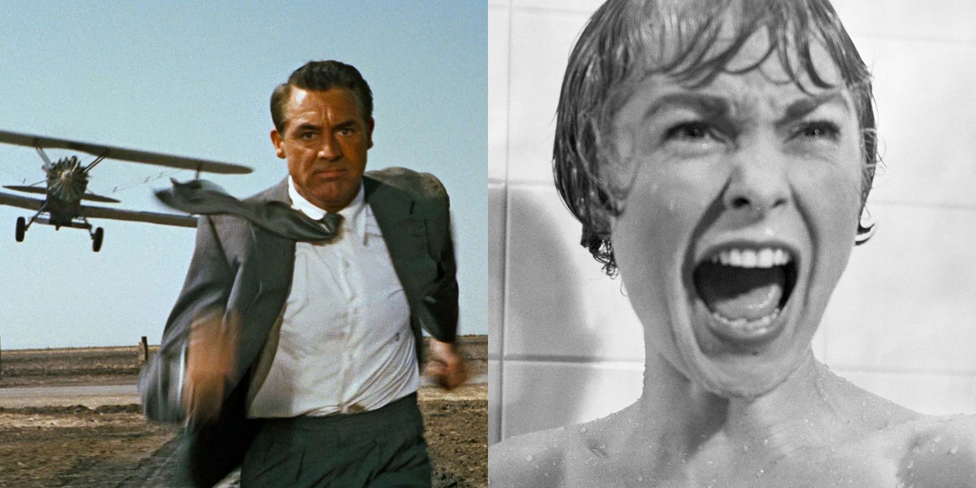 North by Northwest and Psycho
