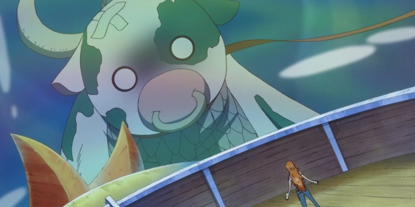 one piece momoo