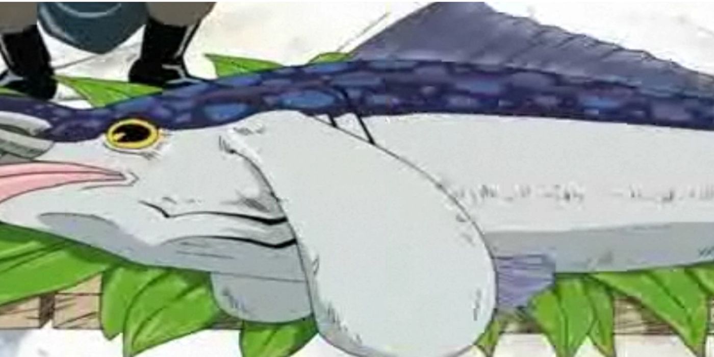 One Piece's bluefin elephant tuna