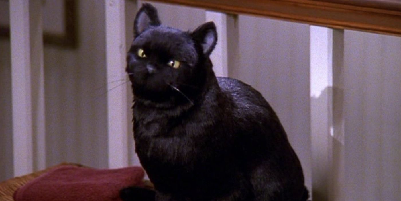 Salem in Sabrina The Teenage Witch