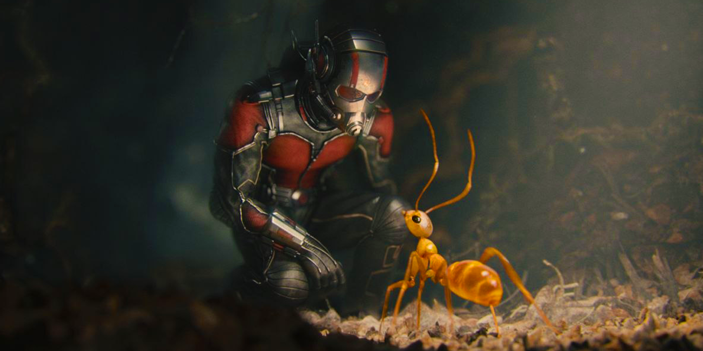 Scott Lang&rsquo;s Ant-Man in the MCU&rsquo;s Ant-Man