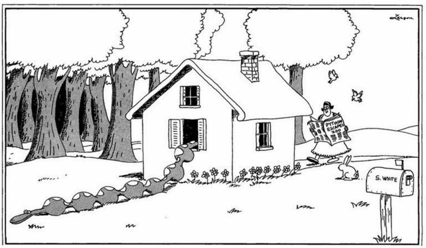 Far Side’s Baby-Eating Snake Is Based on a Dark Real-Life Experience