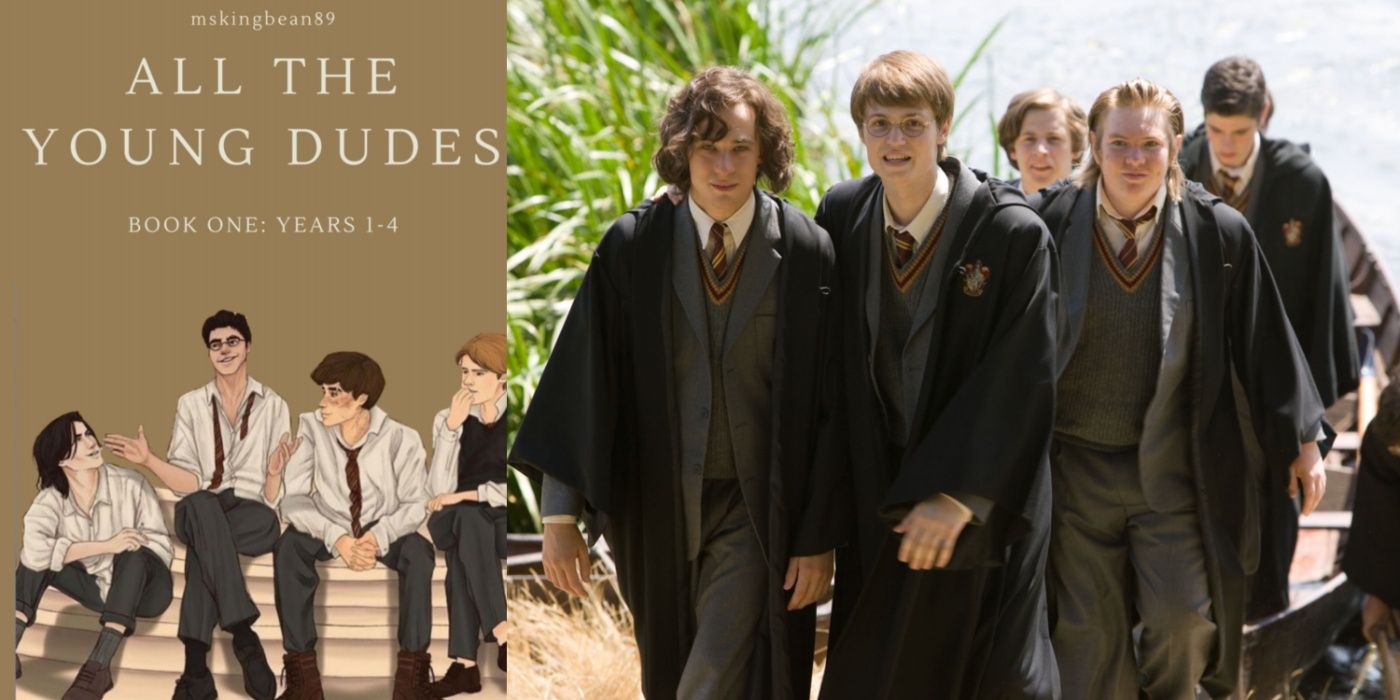 All The Young Dudes Book: Everything You Need To Know About The Harry Potter Marauders Fan-Fiction