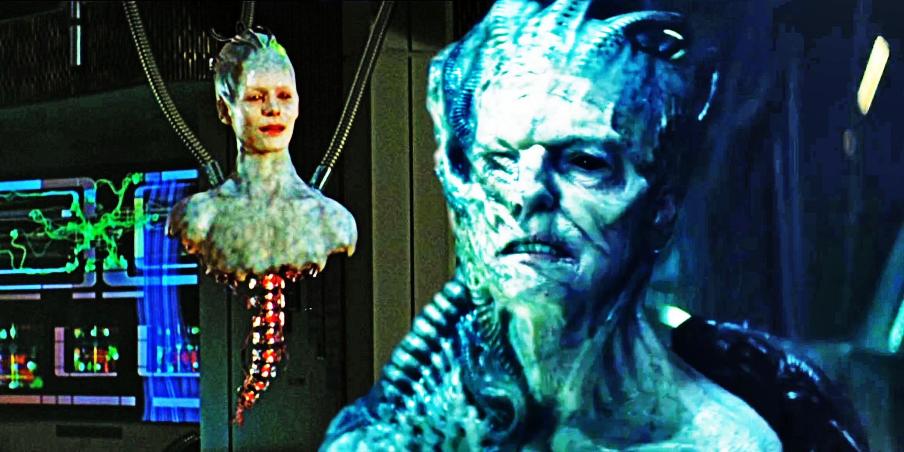 10 Weird Things About The Borg Queen’s Body