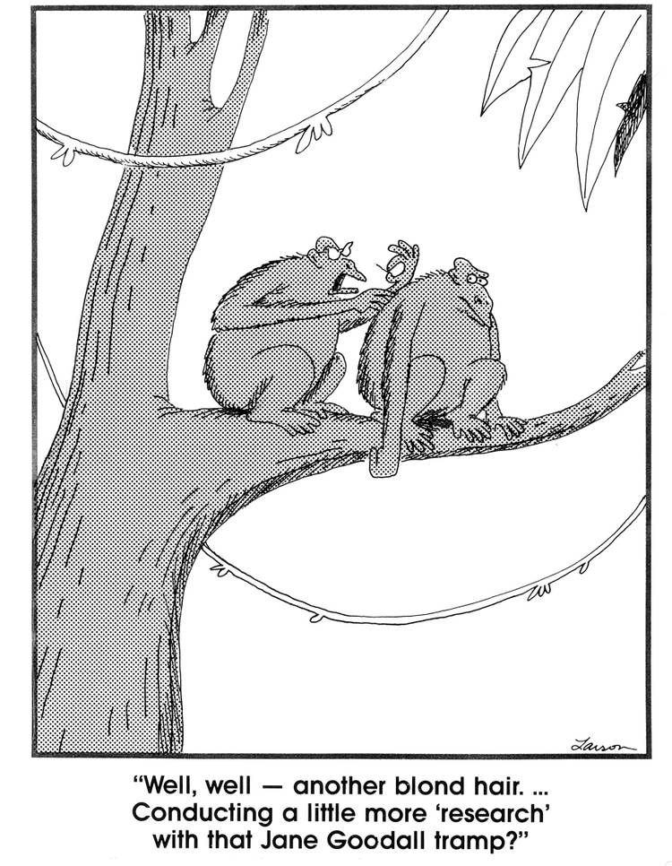 "It Was Cruel, Stupid and Ridiculous" 10 Most Controversial Far Side