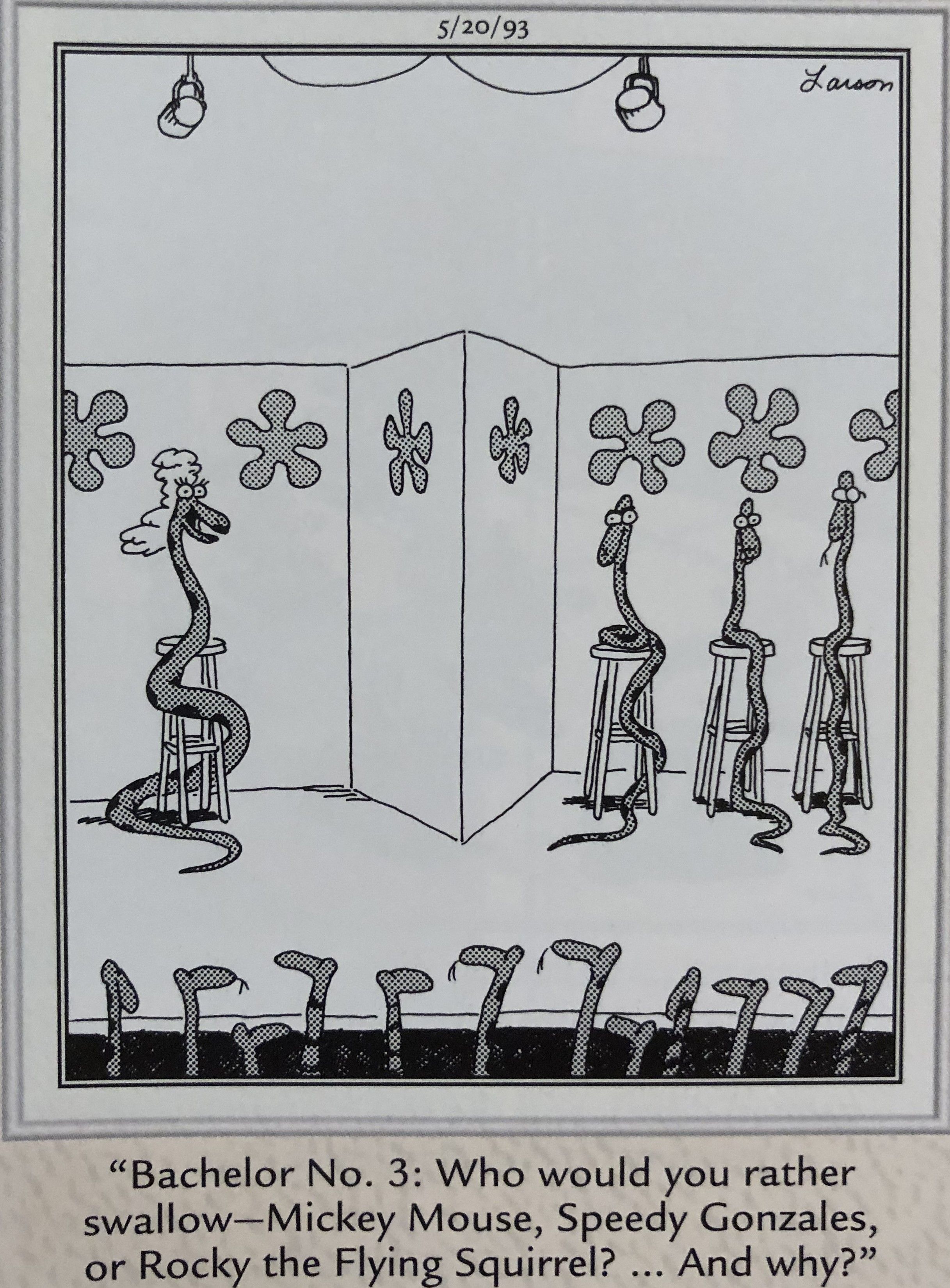 The Far Side Snake Dating Game