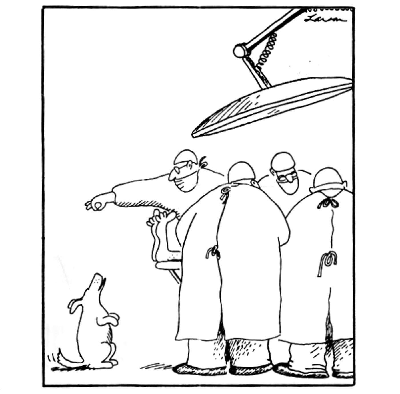 the far side surgeon dog