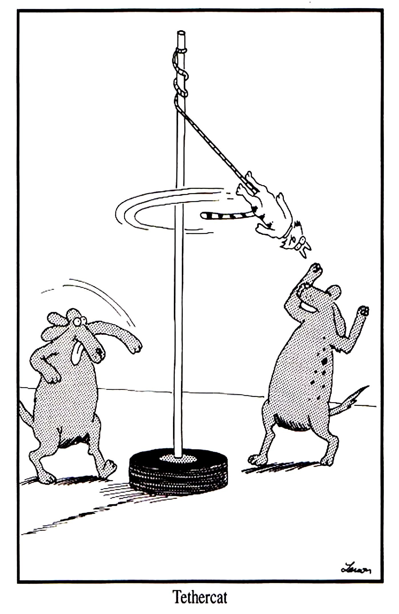 the far side tethercat