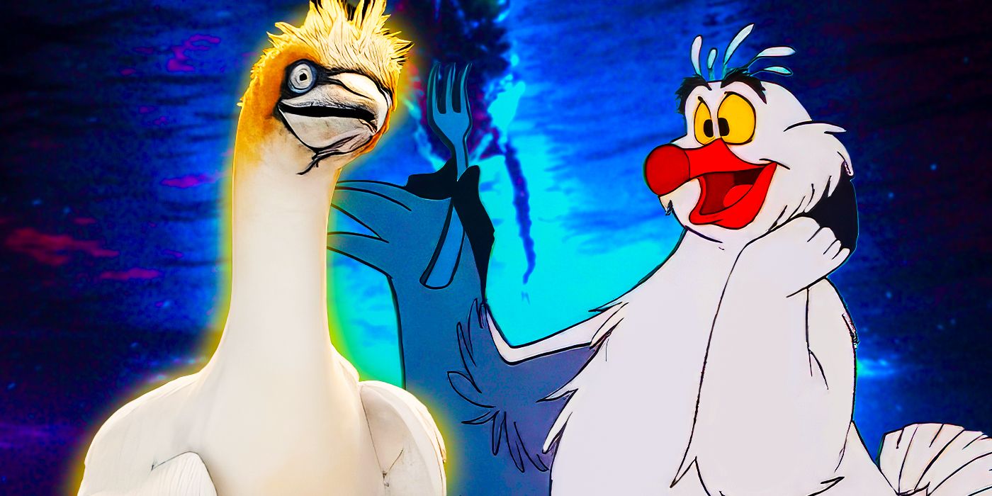 Scuttle in both versions of The Little Mermaid