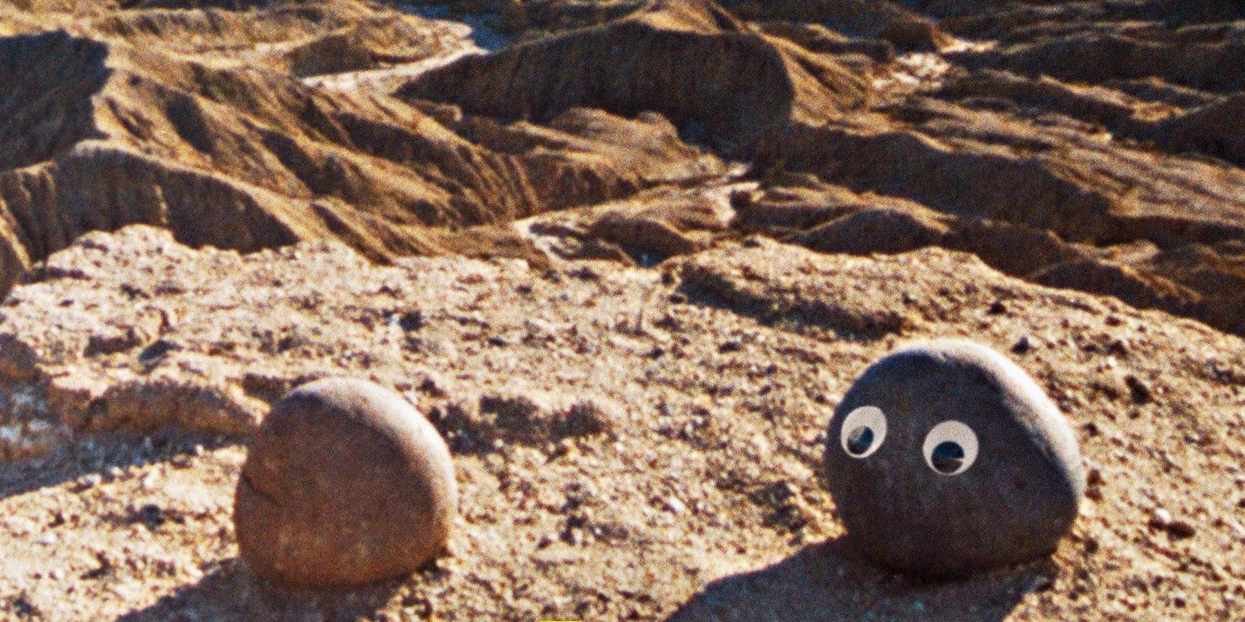 The rocks with googly eyes in Everything Everywhere All At Once