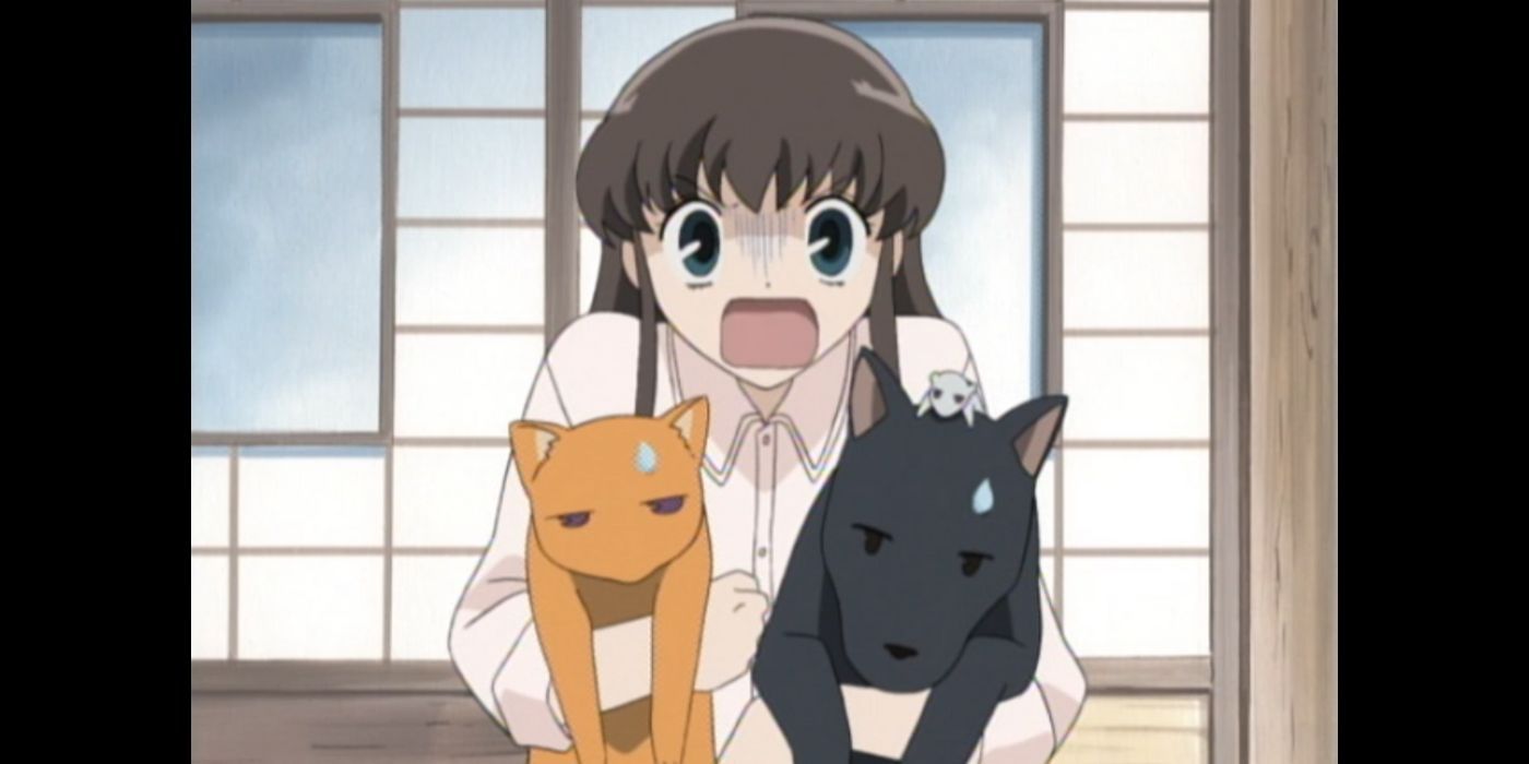Tohru-Honda-from-Fruits-Basket-holding-up-Kyo-Yuki-and-Shigure-in-their-animal-forms
