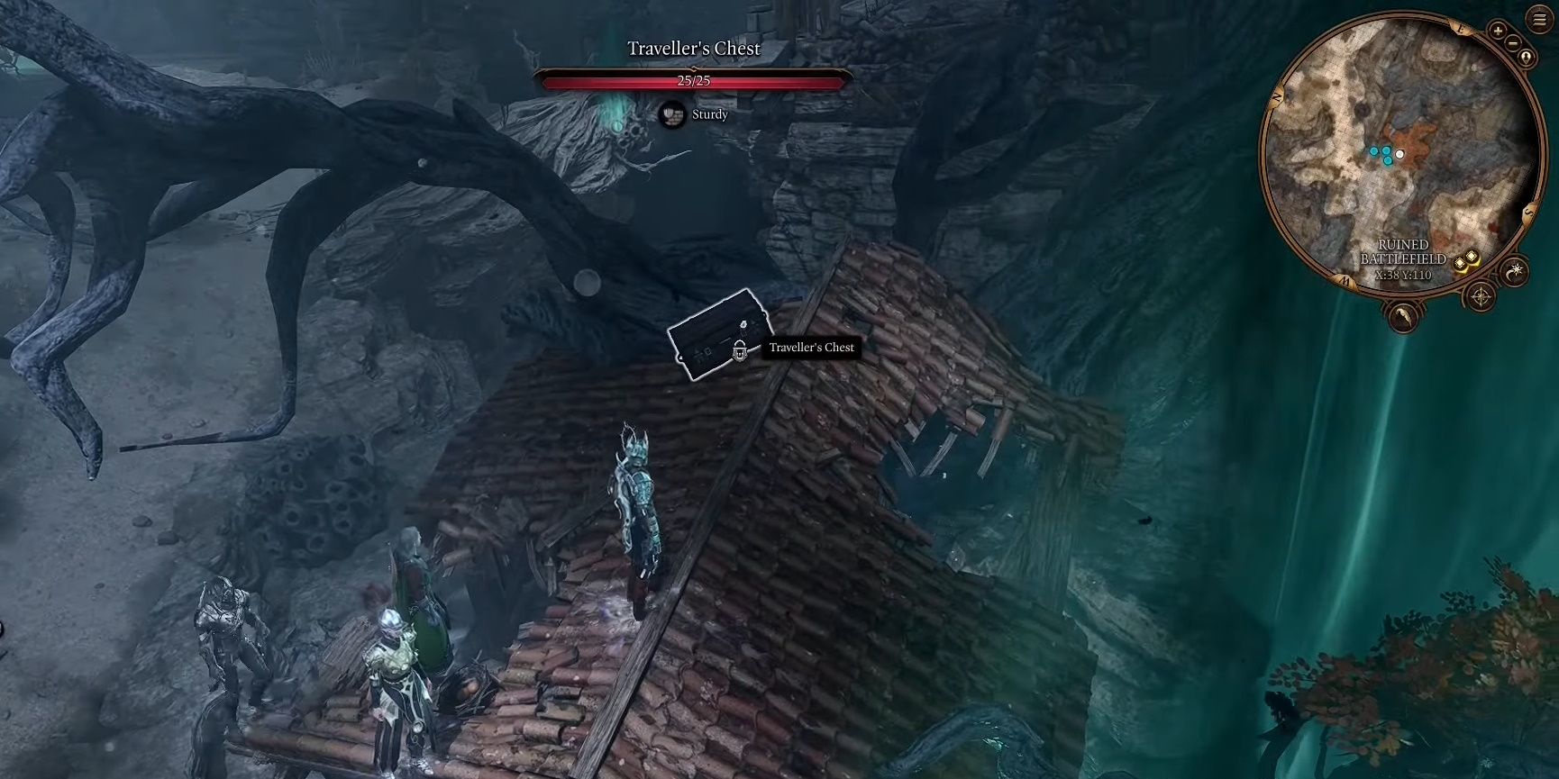 Traveler's Chest On Roof in Baldur's Gate 3.