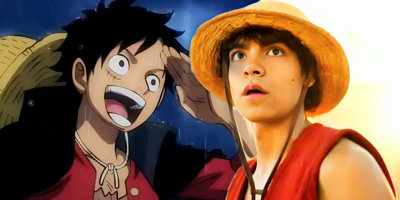 Monkey D Luffy - The first user of Hana Hana no mi