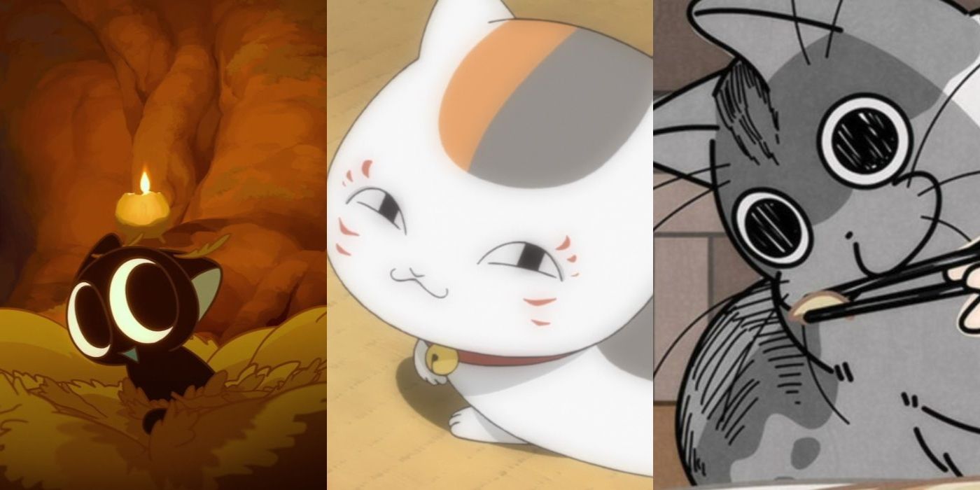 11 Cutest Anime Cats