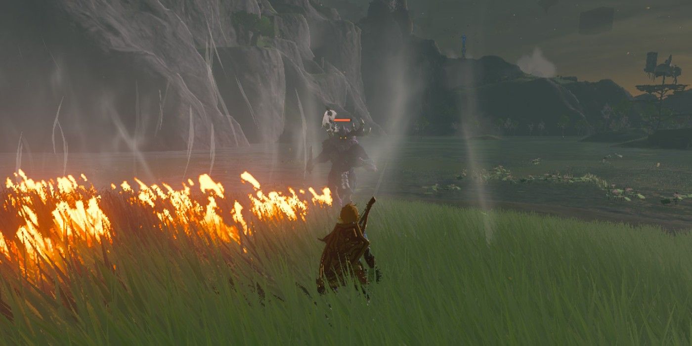 Link facing a slightly injured Blue-Maned Lynel, with its regular-sized health bar clearly visible, in The Legend of Zelda: Tears of the Kingdom.