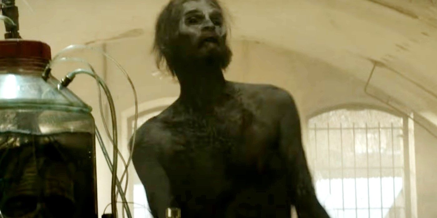 Zombie Variant in Daryl Dixon