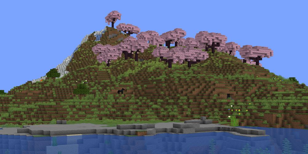 The best island seeds in Minecraft offer an exciting new way to start your survival playthrough.