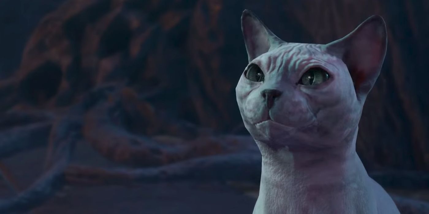 The hairless cat Steelclaw glowers in a screenshot from Baldur's Gate 3.