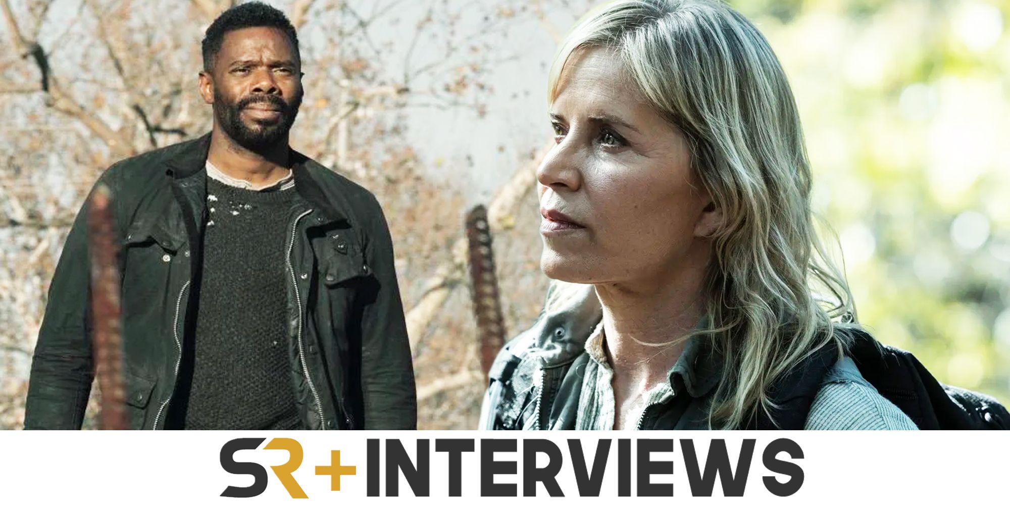 chambliss goldberg ftwd season 8