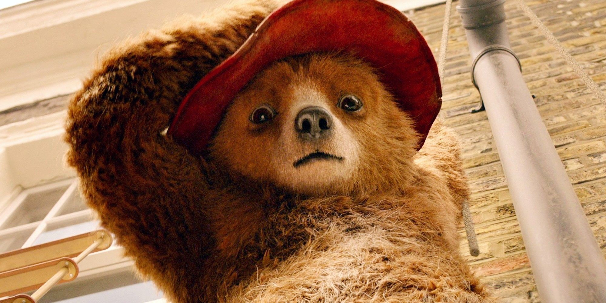 Paddington Bear | ScreenRant