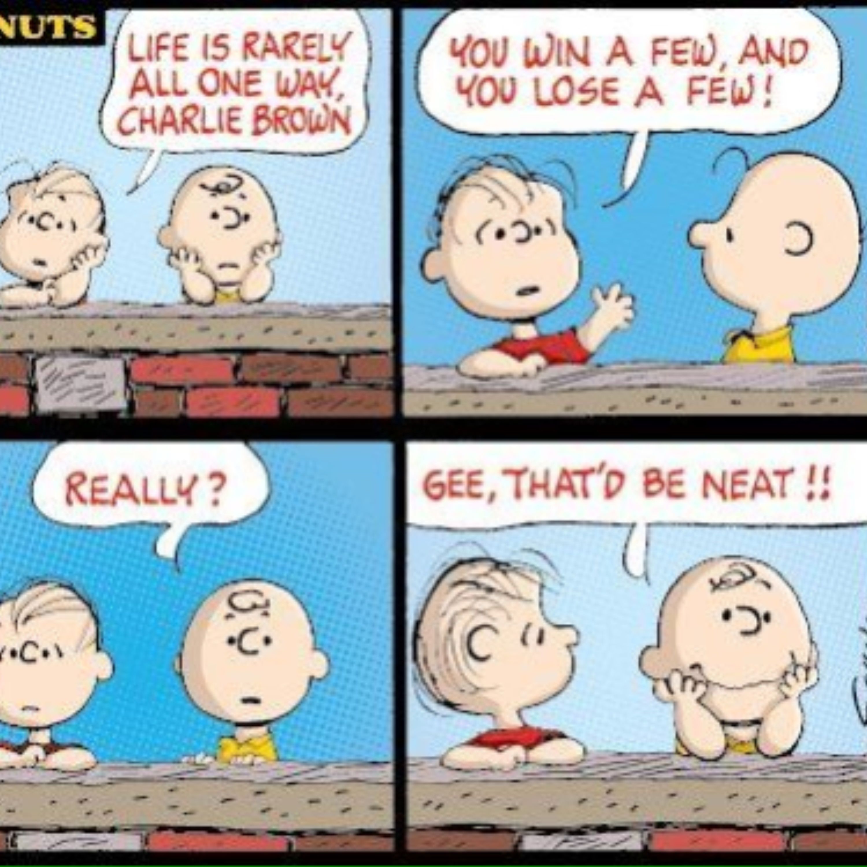 Charlie Brown and Linus Peanuts