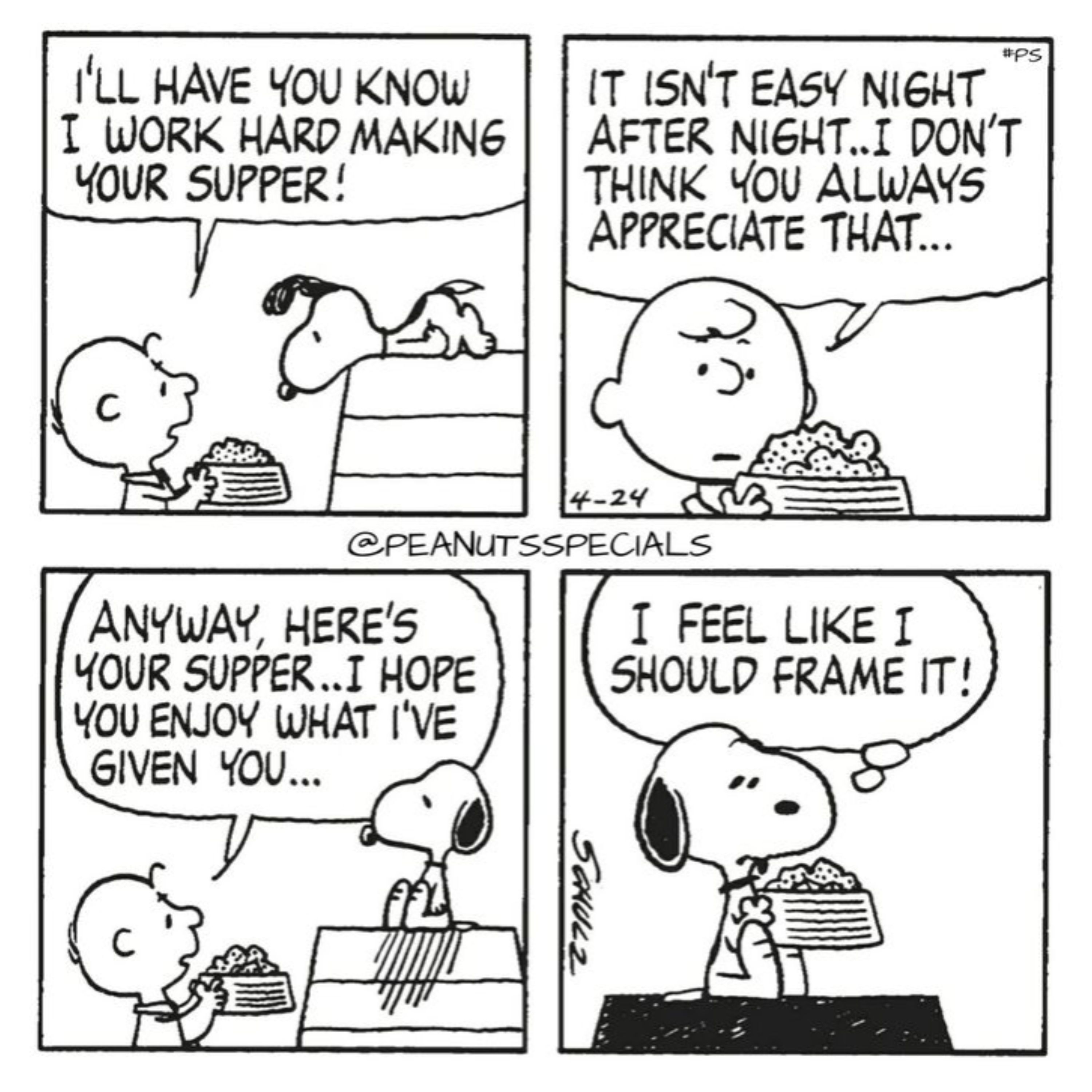 Snoopy and Charlie Brown Peanuts