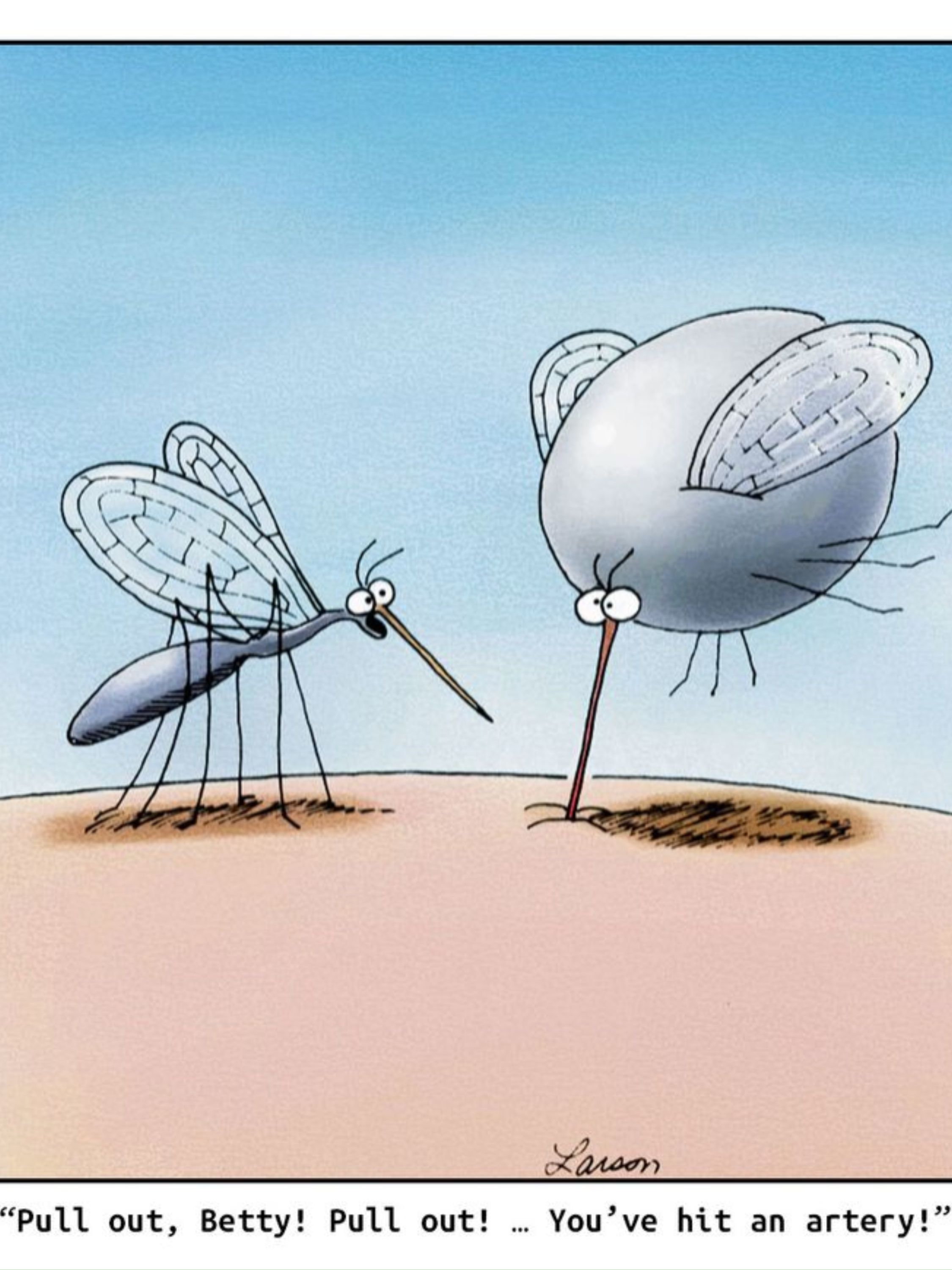 Mosquitos Far Side comic 
