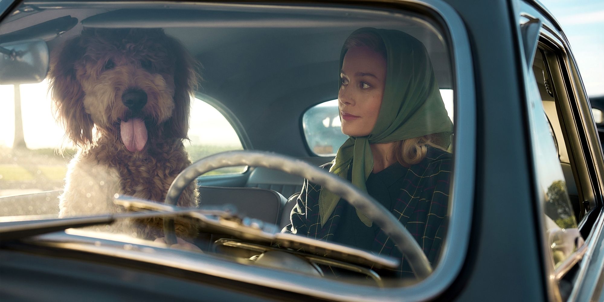 Brie Larson As Elizabeth Zott Sitting In Car With Six-Thirty The Dog In Lessons In Chemistry.jpg