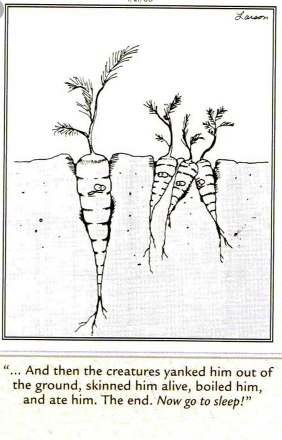 Far Side Carrots