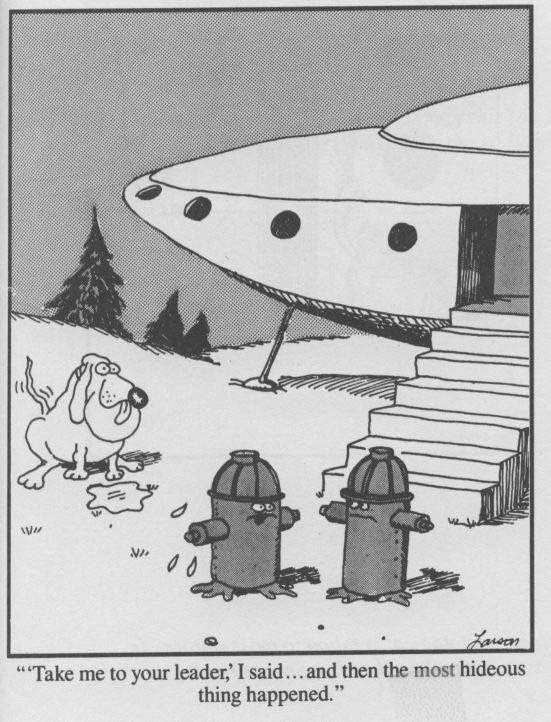Far Side Dog pee
