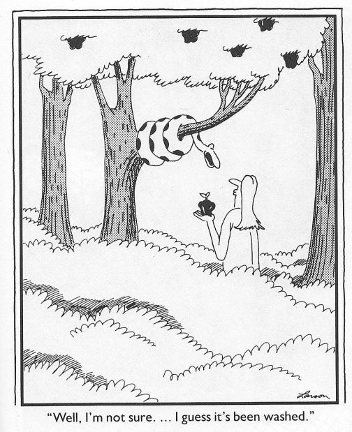 10 Funniest Far Side Comics Where Only 1 Character Speaks