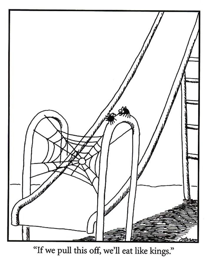 Far Side Spider