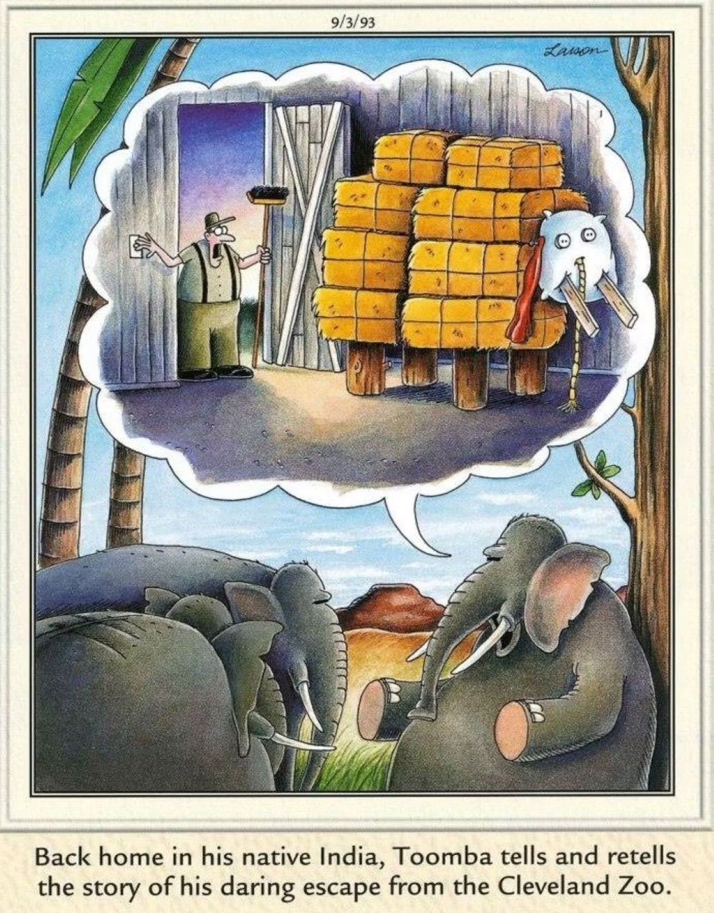Far Side, &ldquo;Back home in his native India, Toomba tells and retells the story of his daring escape from the Cleveland Zoo&rdquo;