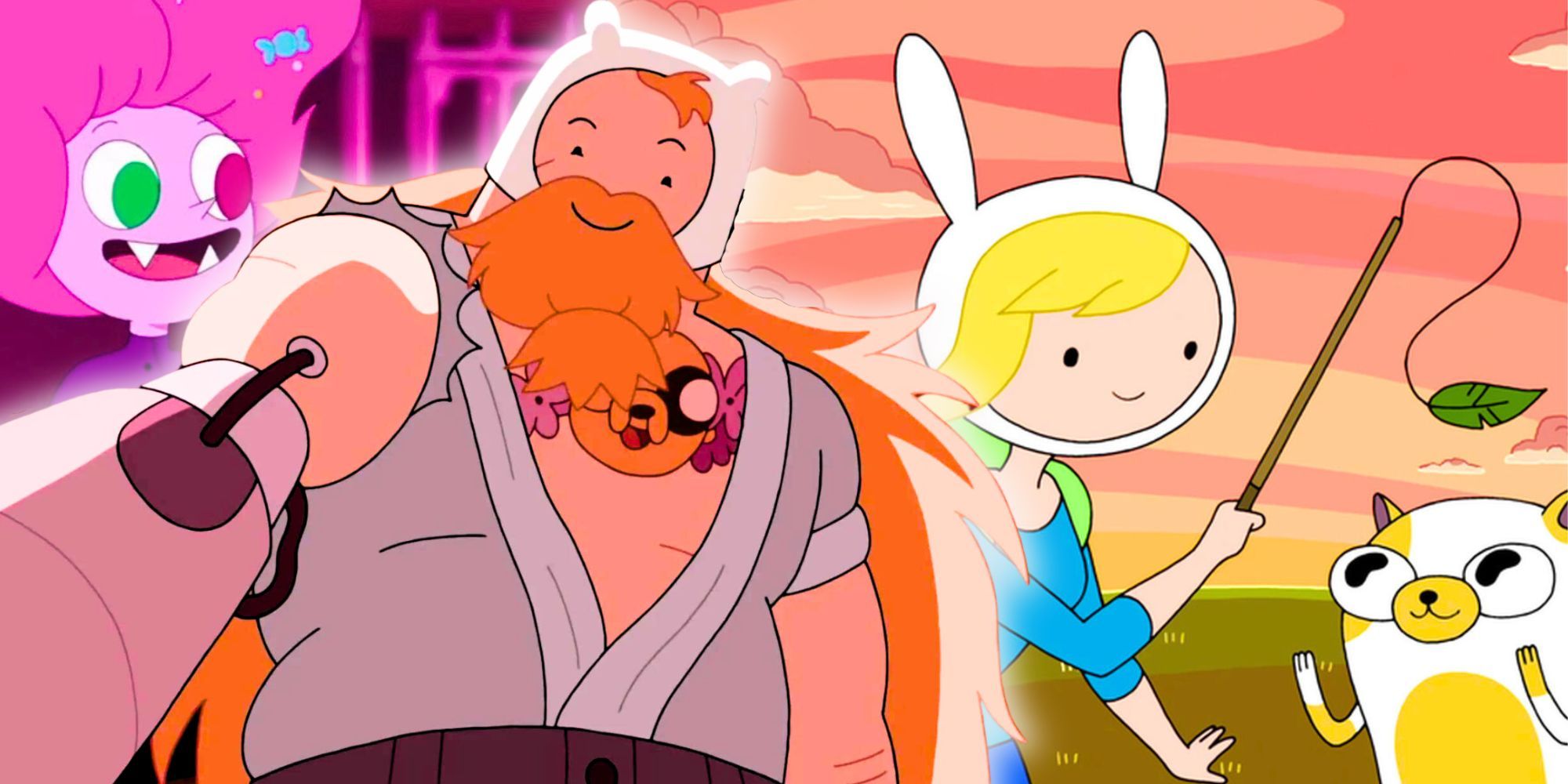 Finn the Human in Fionna and Cake Adventure Time spinoff