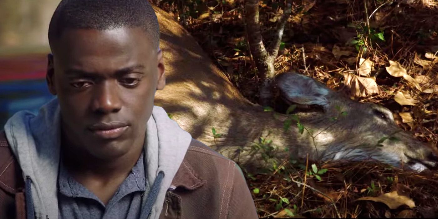 Chris looking sad in Get Out as the deer dies after being hit by his car