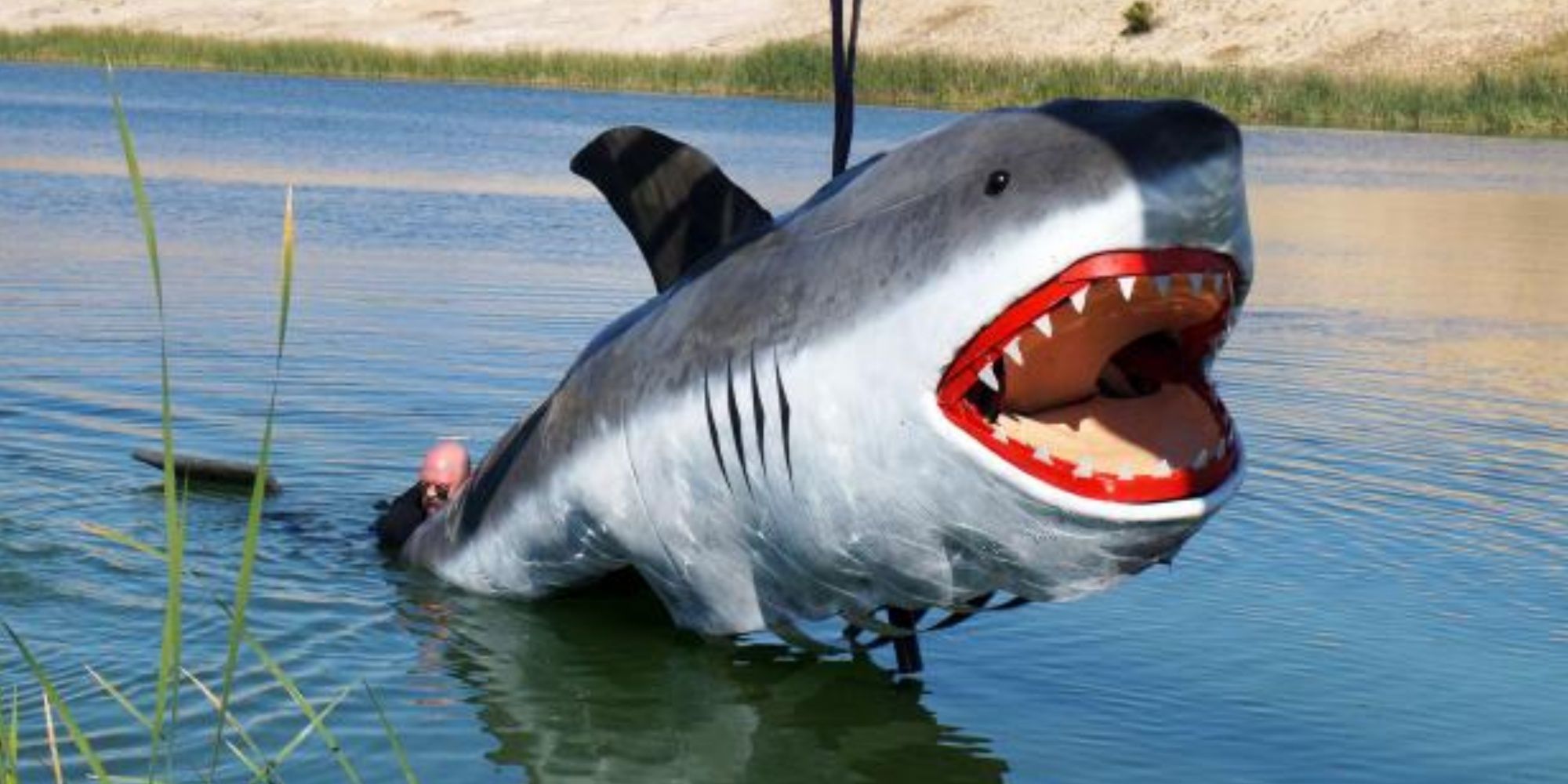 A fake Jaws on Mythbusters.