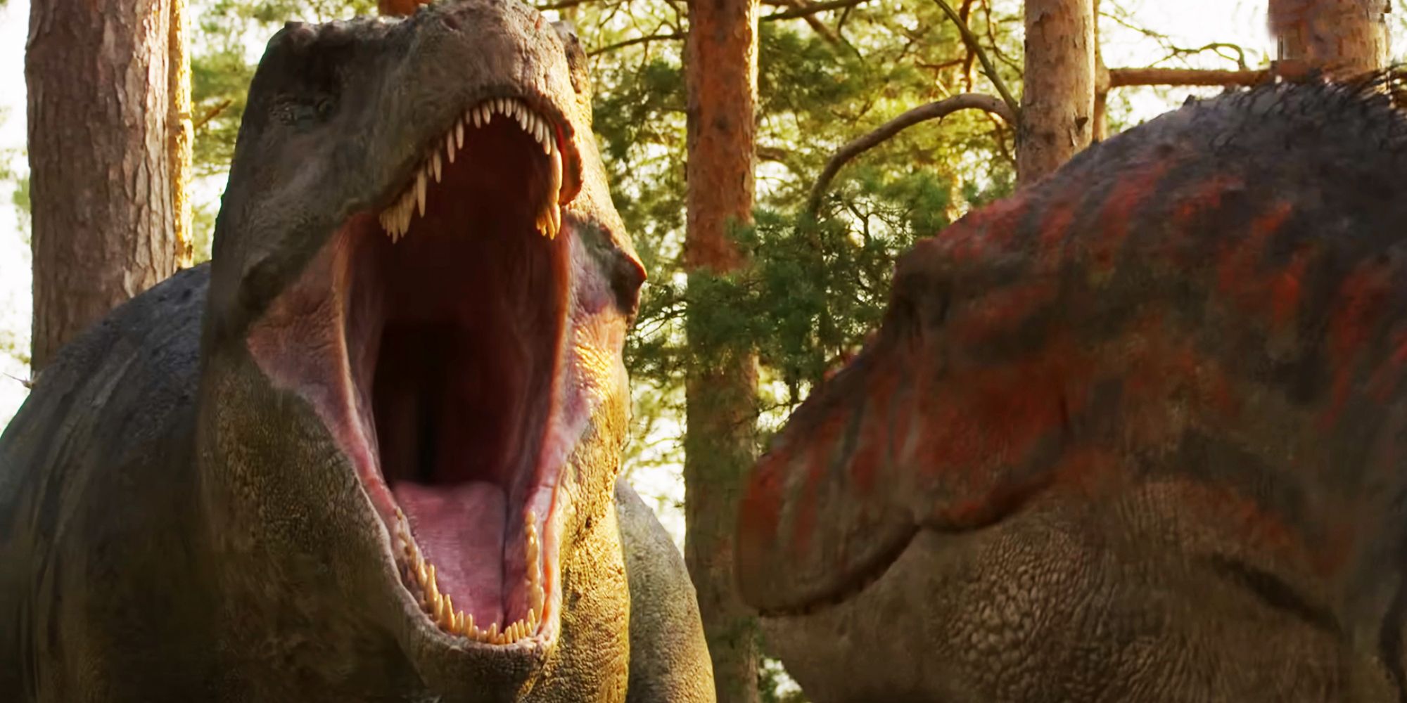 life on our planet t rex