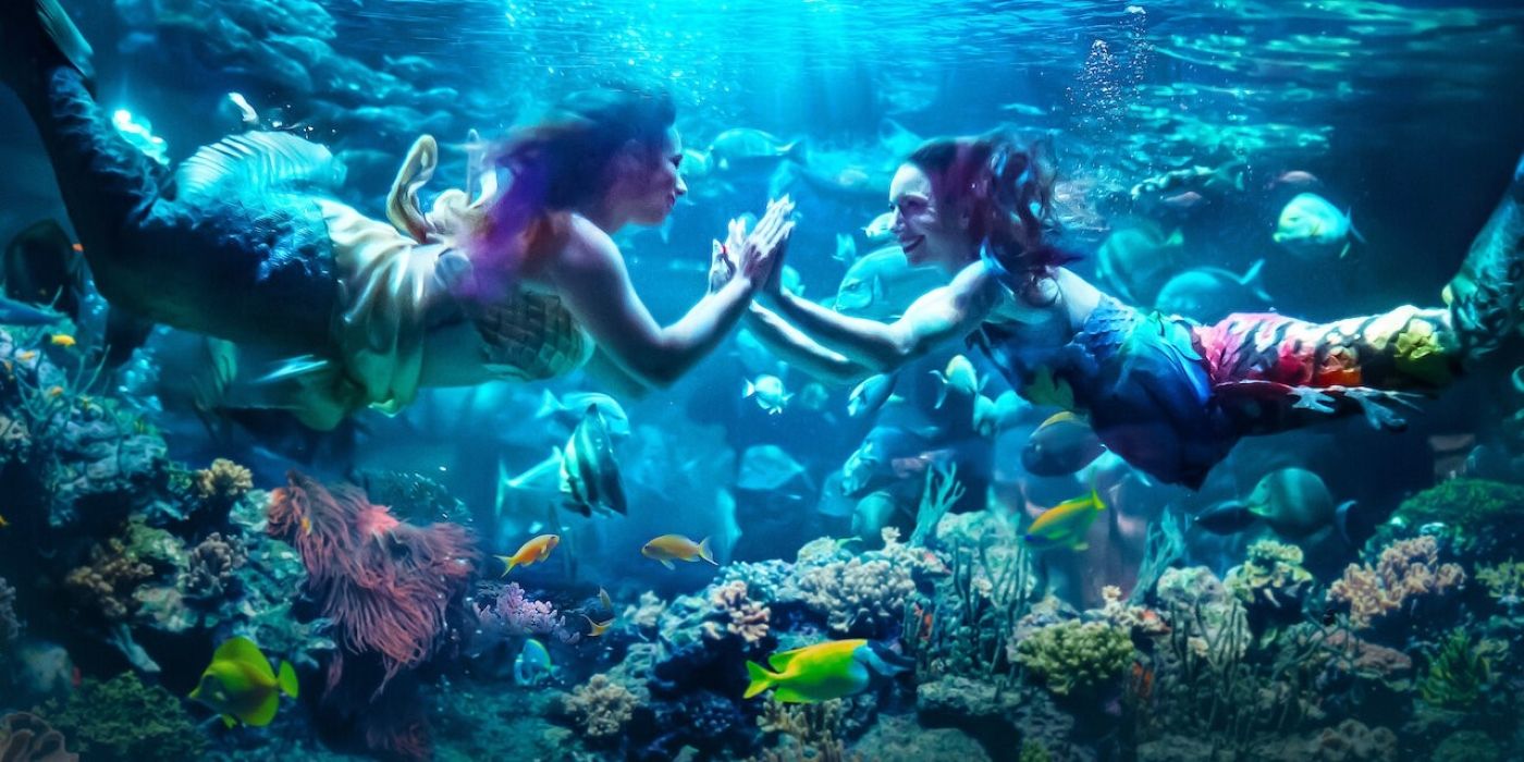 Mermaids from MerPeople