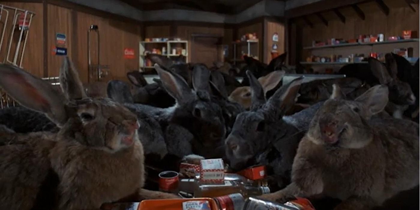 Giant rabbits in Night of the Lepus