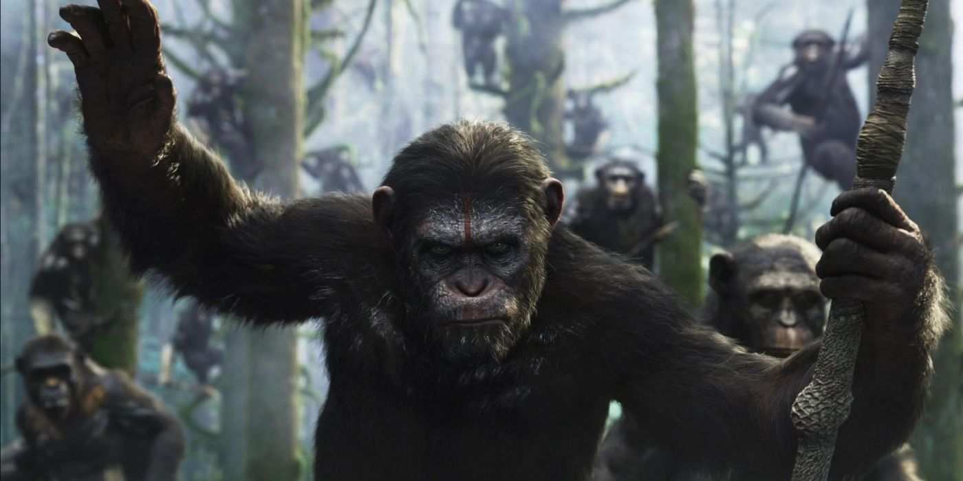 Caesar in planet of the apes