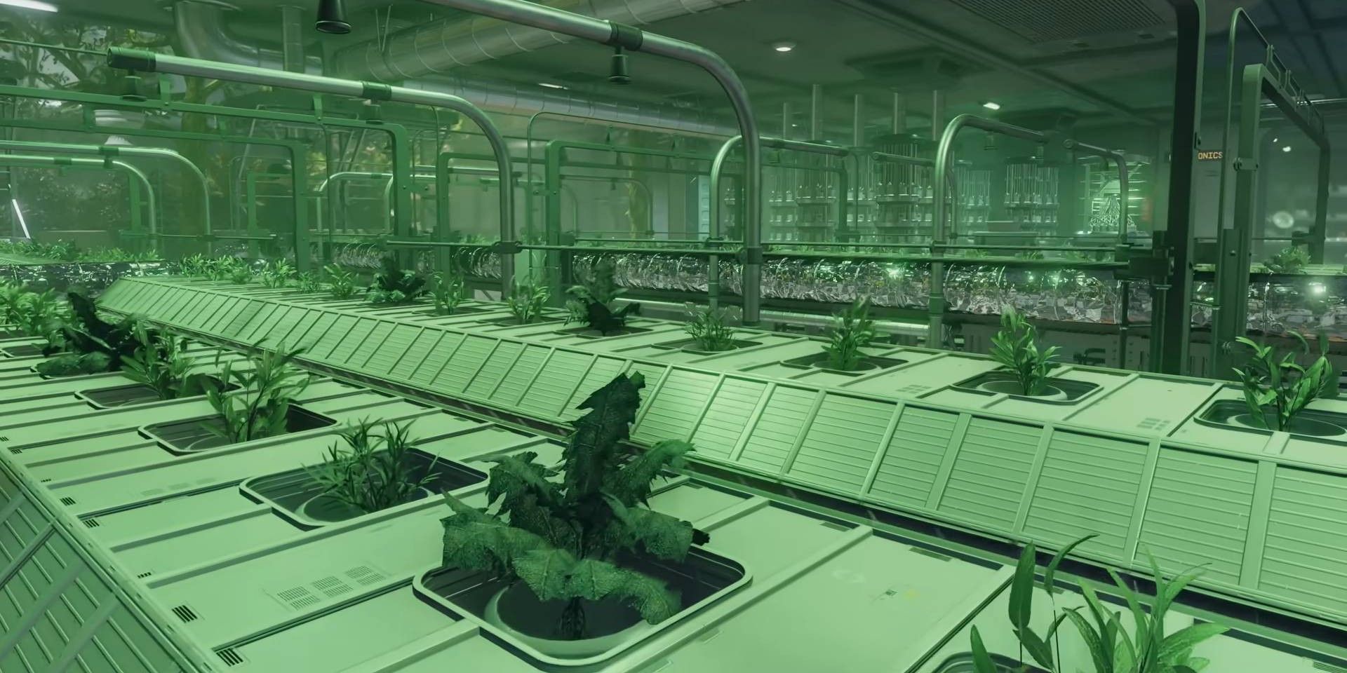 Nirnroot Easter Egg Starfield