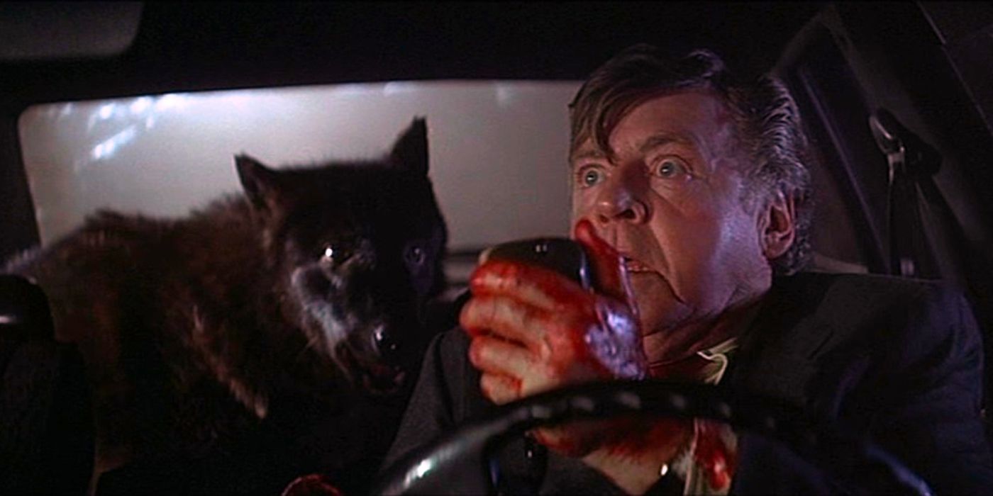 A man and a wolf in the back of the car in Wolfen