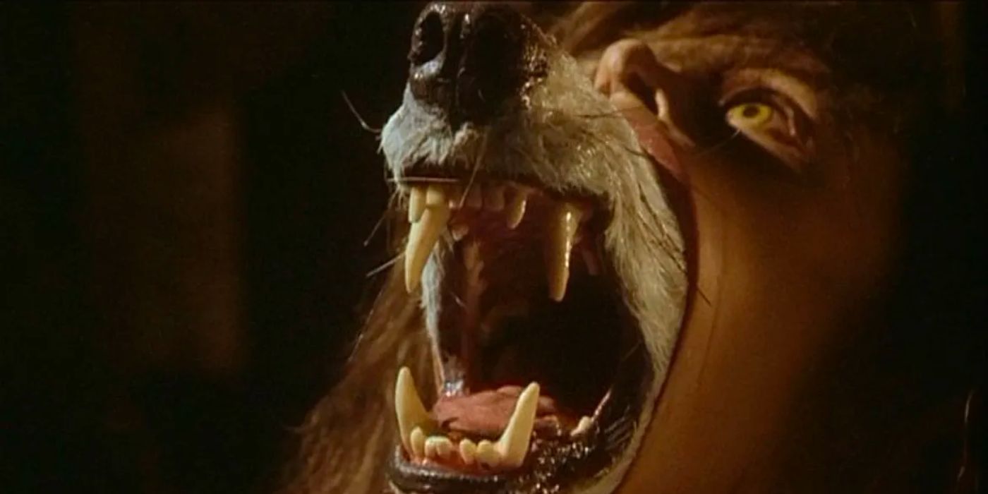 A wolves muzzle bursts from a person's mouth in The Company of Wolves