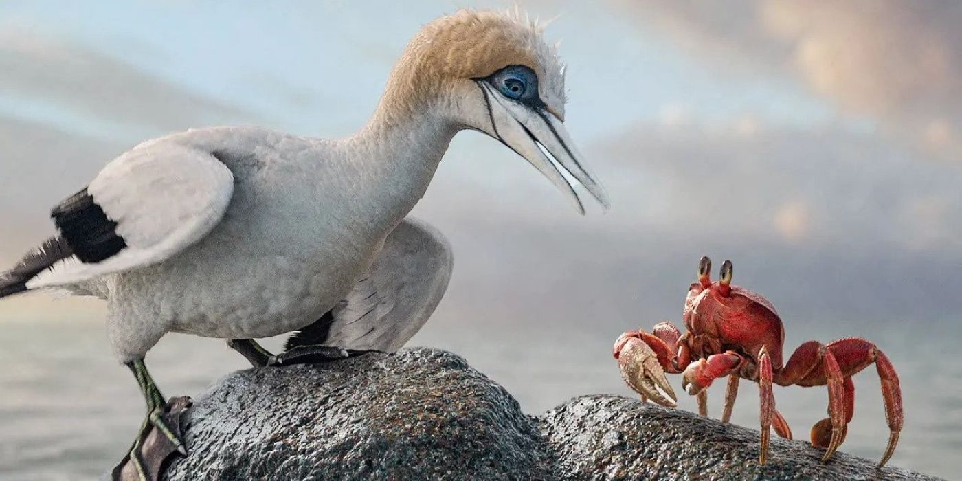Sebastian and Scuttle from Littler Mermaid