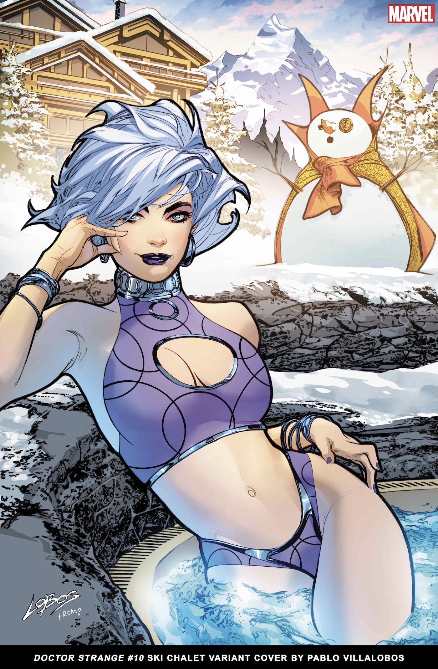 Ski Chalet Marvel 3