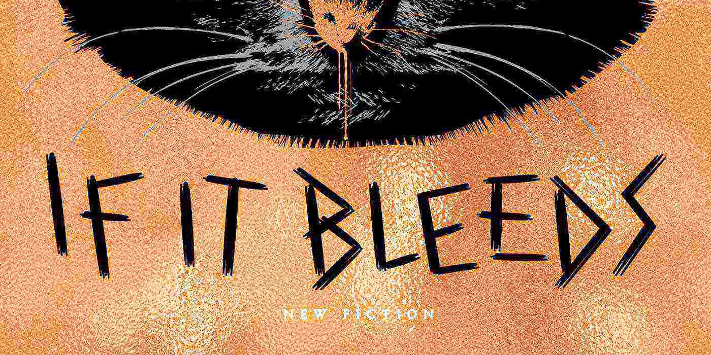 Stephen King If It Bleeds book cover