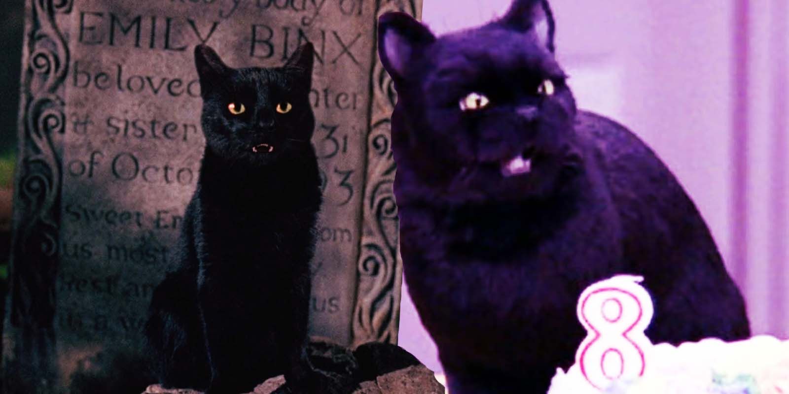 Thackery Binx in 1993's Hocus Pocus and Salem in Sabrina The Teenage Witch